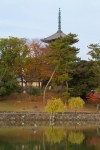 Five Story Pagoda of Kofukuji Temple and Lake, Nara&nbsp;Park