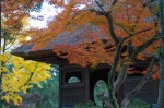 Temple Building, Nara&nbsp;Park