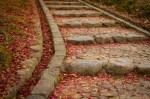 Stone Steps and Leaf Fall, Kataoka Plum Grove, Nara&nbsp;Park