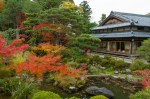 Pond, Yoshikien Garden, Nara&nbsp;Park