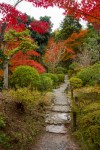 Pathway, Yoshikien Garden, Nara&nbsp;Park