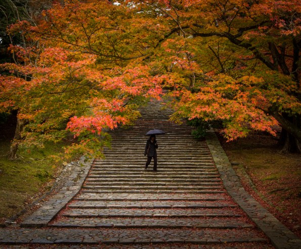 The woman on the stairs, Nara Park