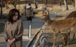 Deer Disgust, Nara&nbsp;Park