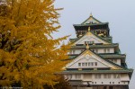 Osaka Castle and Autumn&nbsp;Colours