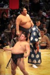 Maku-uchi class sumo match, Fukuoka&nbsp;Kokusai
