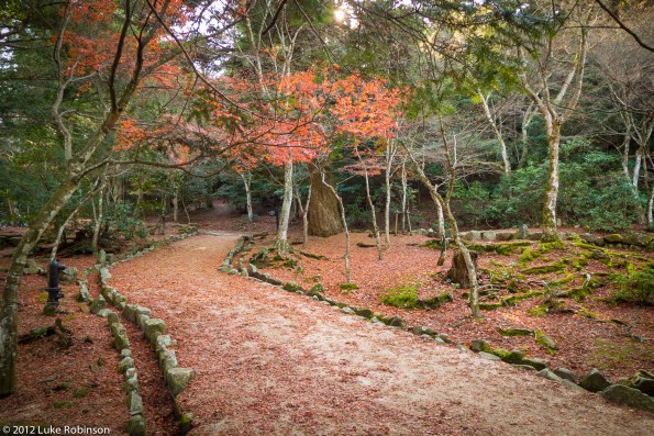 Parkland and Autumn Colours on Mount Misen, Miyajima