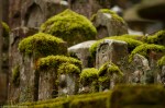 Ancient mossy gravestones, Oku-no-in Cemetery,&nbsp;Koya-san