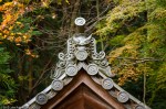 Honen-in Temple Roof Detail,&nbsp;Kyoto