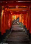 Torii gates, Fushimi Inari Shrine,&nbsp;Kyoto